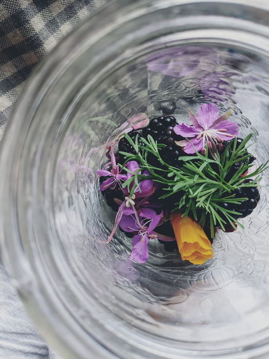 Golden Light - Fireweed, wild raspberry, blackberry, saskatoon & California poppy oxymel - 4oz