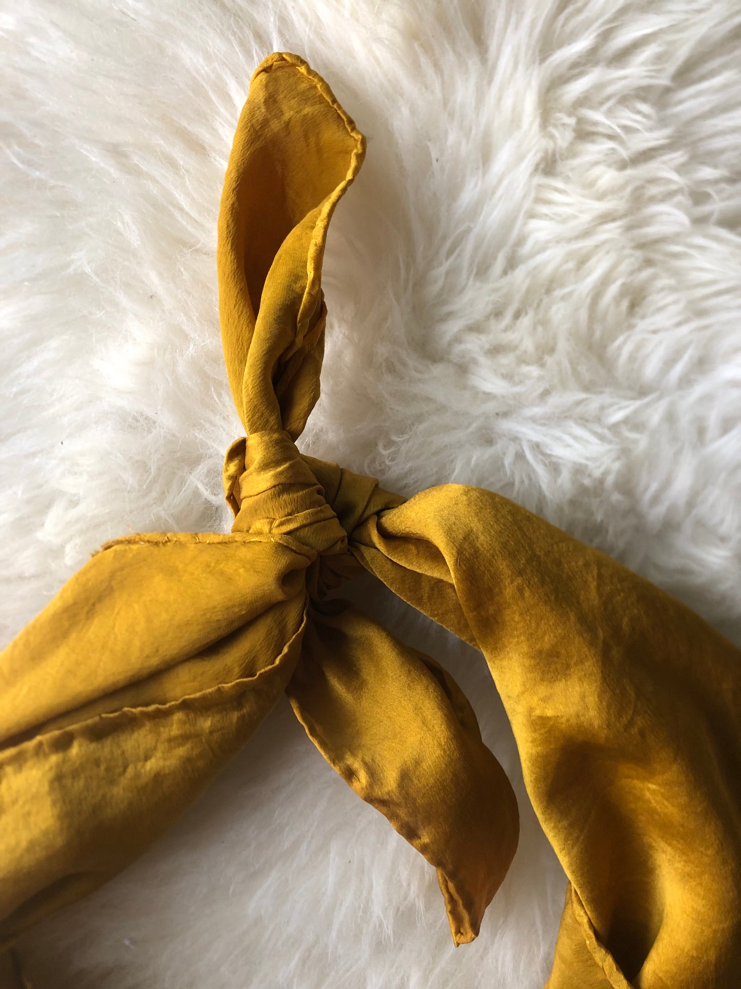 Golden light - Mustard