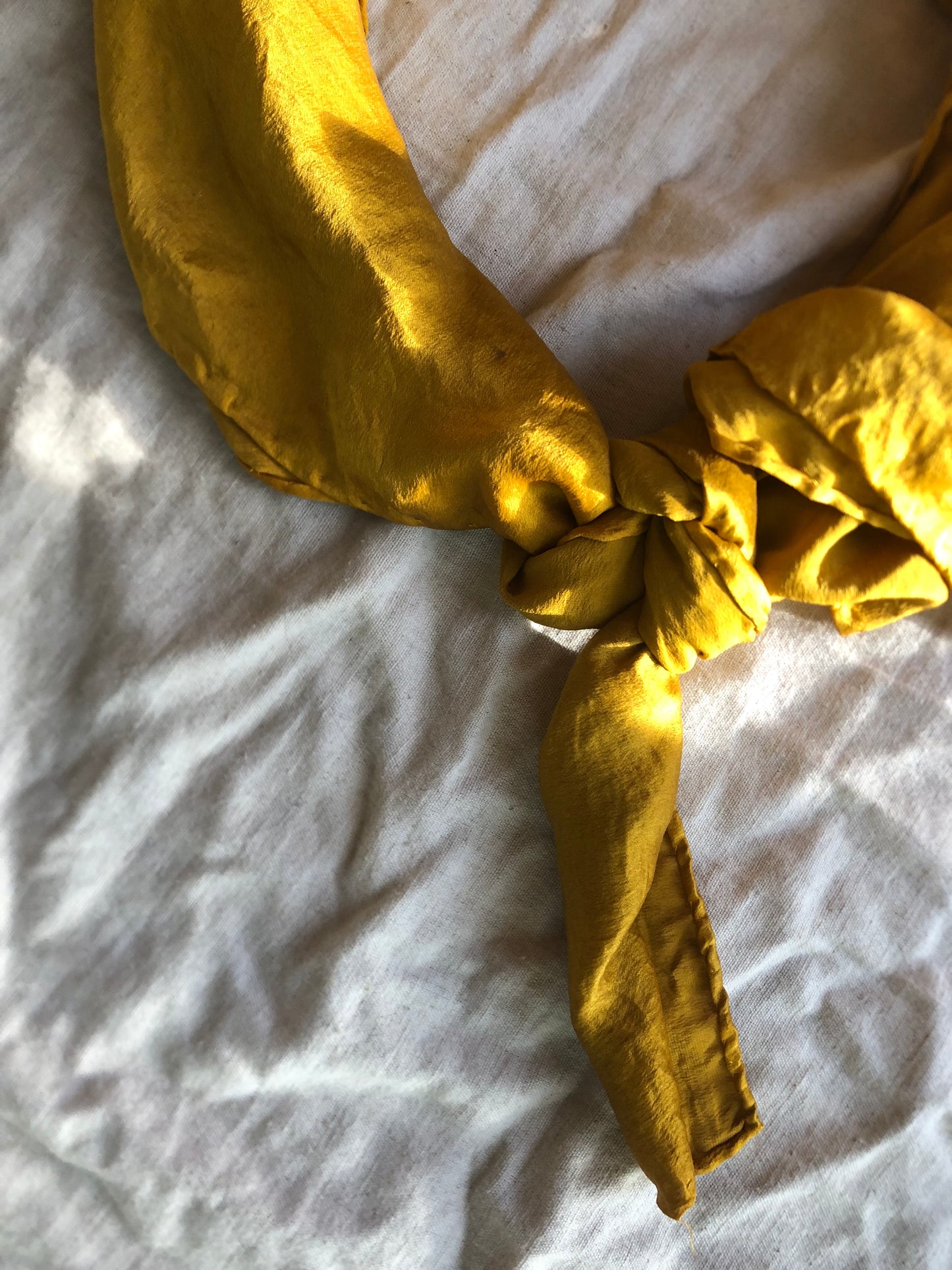 Golden light - Mustard