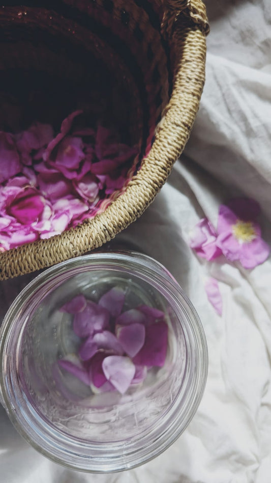 Wild Rose elixir & Flower essence - 60ml