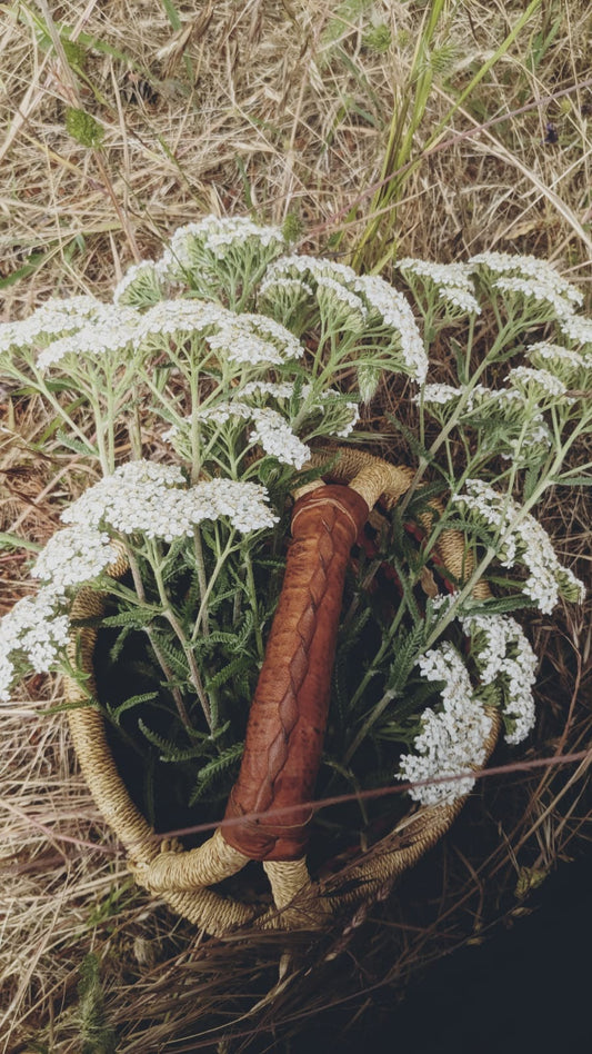 Yarrow Elixir - 60 ml