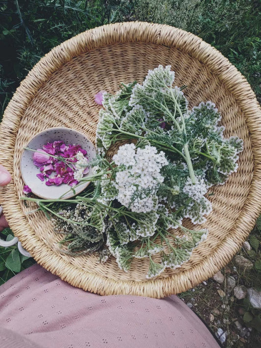 Yarrow - Yarrow (Achillea millefolium) Magic, Medicine & Recipe - Master of the blood, Guardian of the heart, Healer of all wounds & boundary medicine.