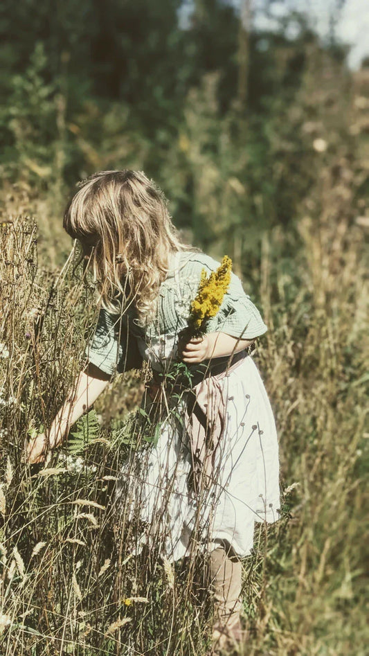 Goldenrod