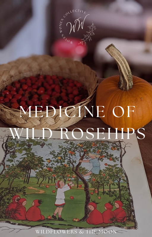 Medicine of Wild Rosehips