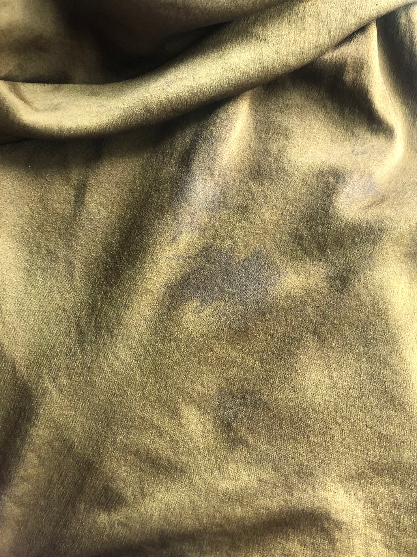 Golden Mustard - large