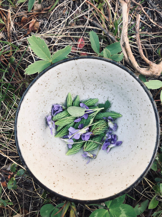 Heart Mend - Grief & Heart Elixir - 2 oz Wild Rose, Violets, Elderflower, Motherwort & Self Heal