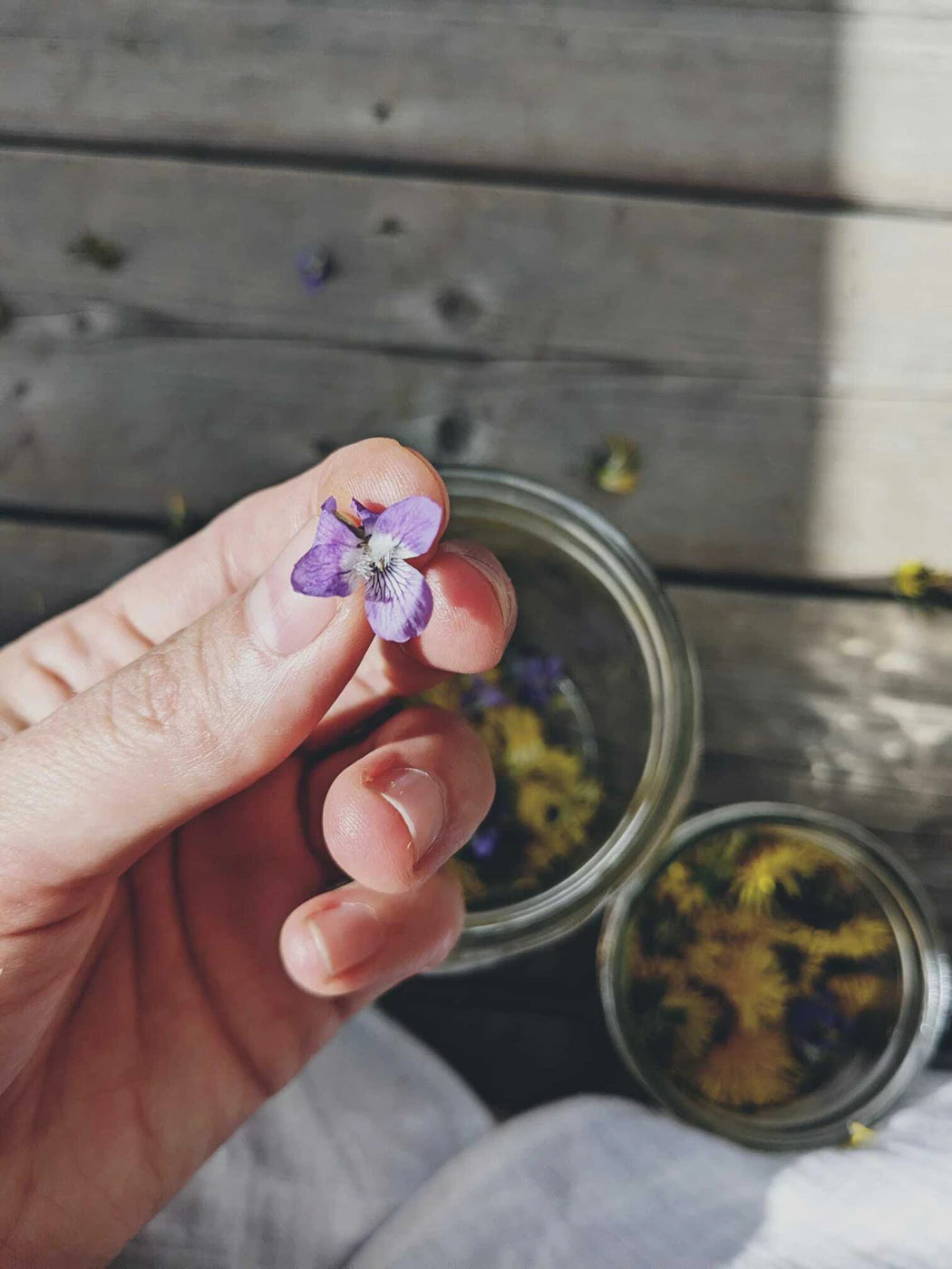 Violet Elixir - 2oz