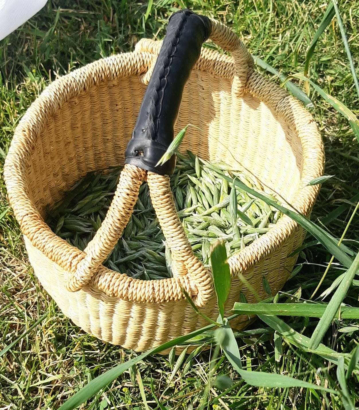 Nourished Nerves Elixir ( Milky oats & Lemonbalm) - 60 ml